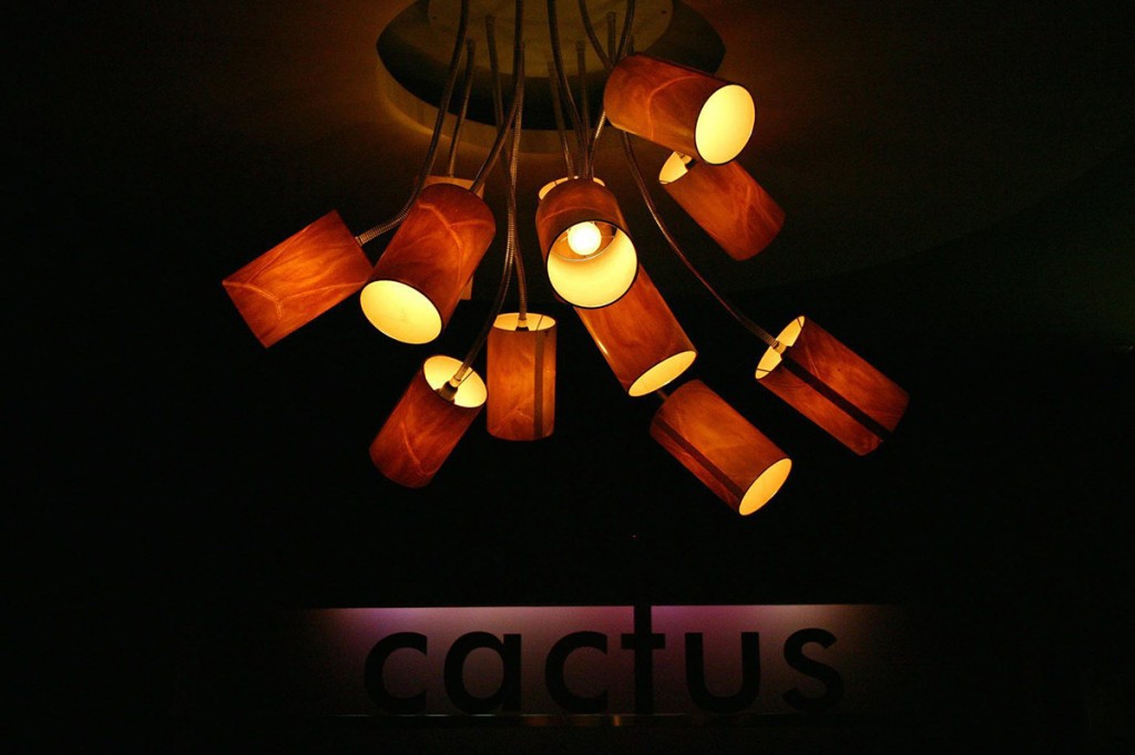 Cactus-004